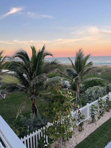 Sunset over palm trees