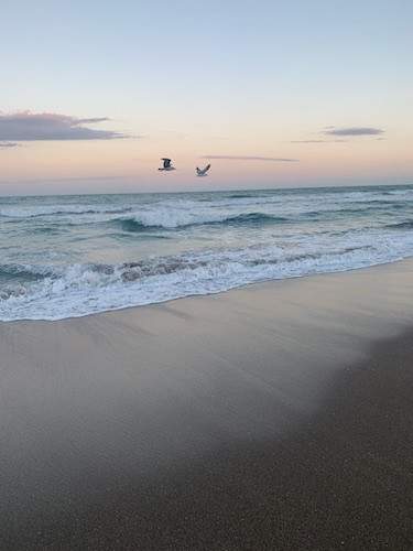 Sunset over the beach with birds flying over