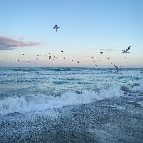 Ocean waves with birds flying over